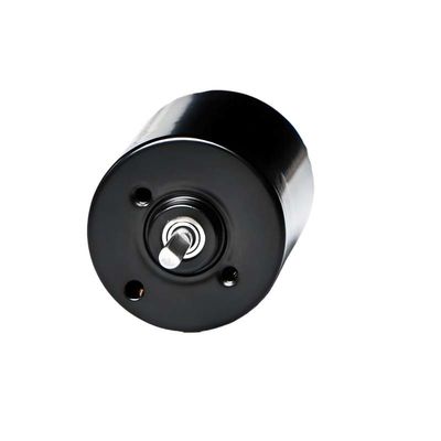 28mm PMDC bezszczotkowy silnik z zintegrowanym sterownikiem 5.1W 12V 24V silnik BLDC o wysokiej mocy do pompy elektrycznej zasłony okiennej