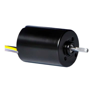 28mm PMDC bezszczotkowy silnik z zintegrowanym sterownikiem 5.1W 12V 24V silnik BLDC o wysokiej mocy do pompy elektrycznej zasłony okiennej