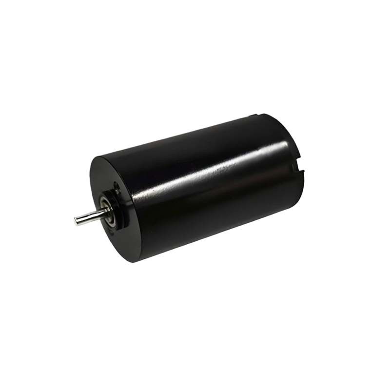 16mm Szczotkowany silnik prądu stałego 1,57 Watt 9980 obr./min. Elektryczny szczotkowany silnik prądu stałego 24V Dostosowany