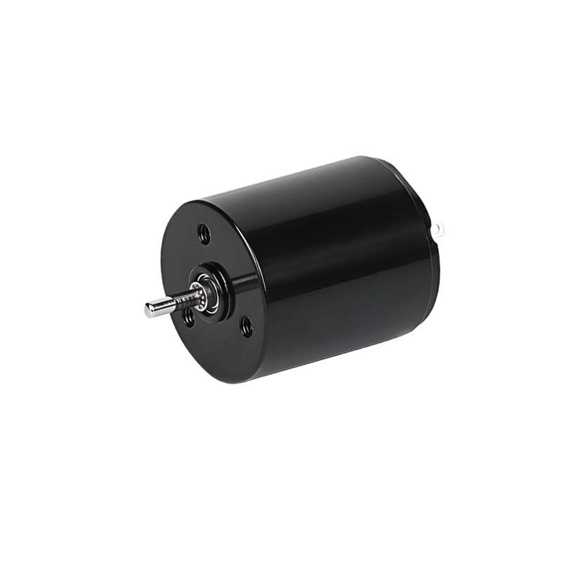 Micro Coreless Brush DC Motor 22mm 3.61 Watt 6900 obr./min 36V Dostosowywalny