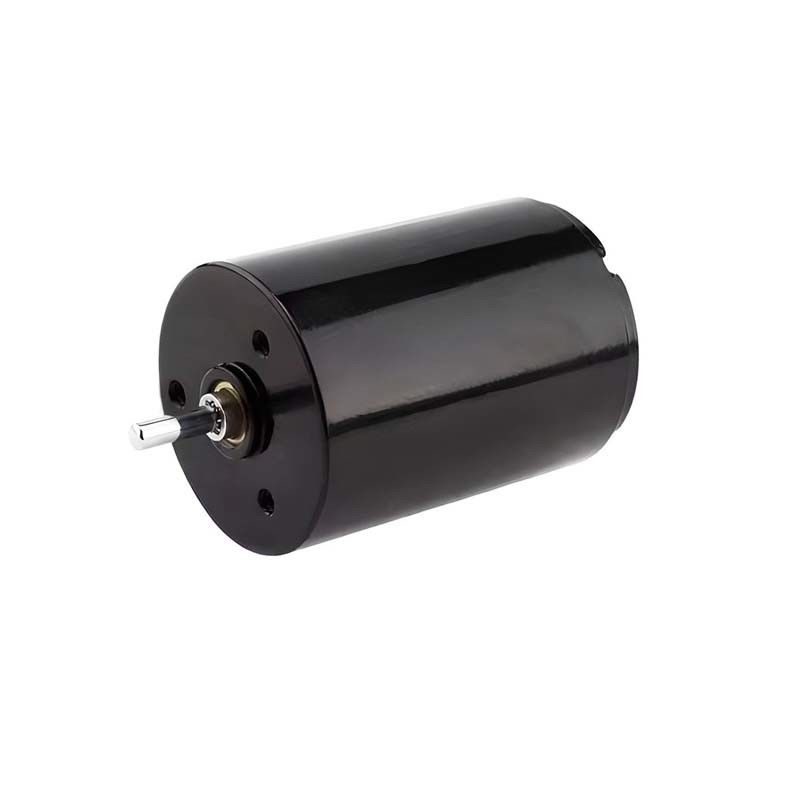 Ease Control Węglowy motor szczotkowy Micro 22mm 3.61 Watt 6900 obr./min 36V Dostosowywalny